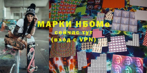 Альфа ПВП Верея