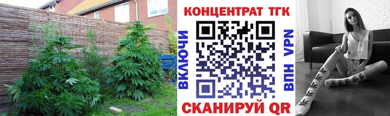 ТГК жижа  хочу   Гусиноозёрск 